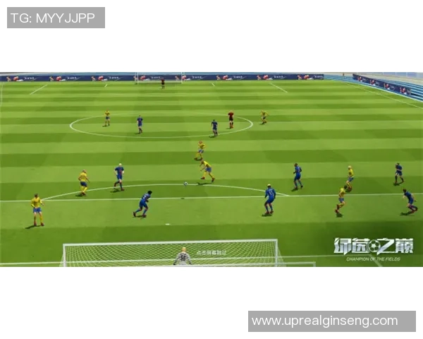 芬兰足球传奇球星崛起之路:从本土草根到欧洲赛场的闪耀之星